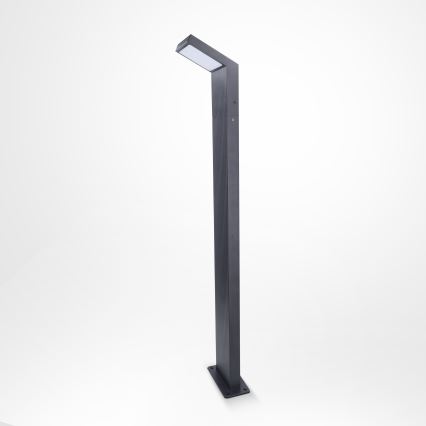 Brilagi - LED välisvalgusti RIANO LED/8W/230V antratsiit IP65 80 cm