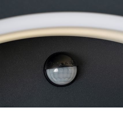 Brilagi - LED välisvalgusti seinaanduriga ARCELO LED/8W/230V IP54