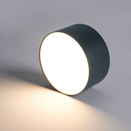 BRILAGI - LED Välislae valgusti FORIS LED/20W/230V läbimõõt 15 cm antratsiit IP44