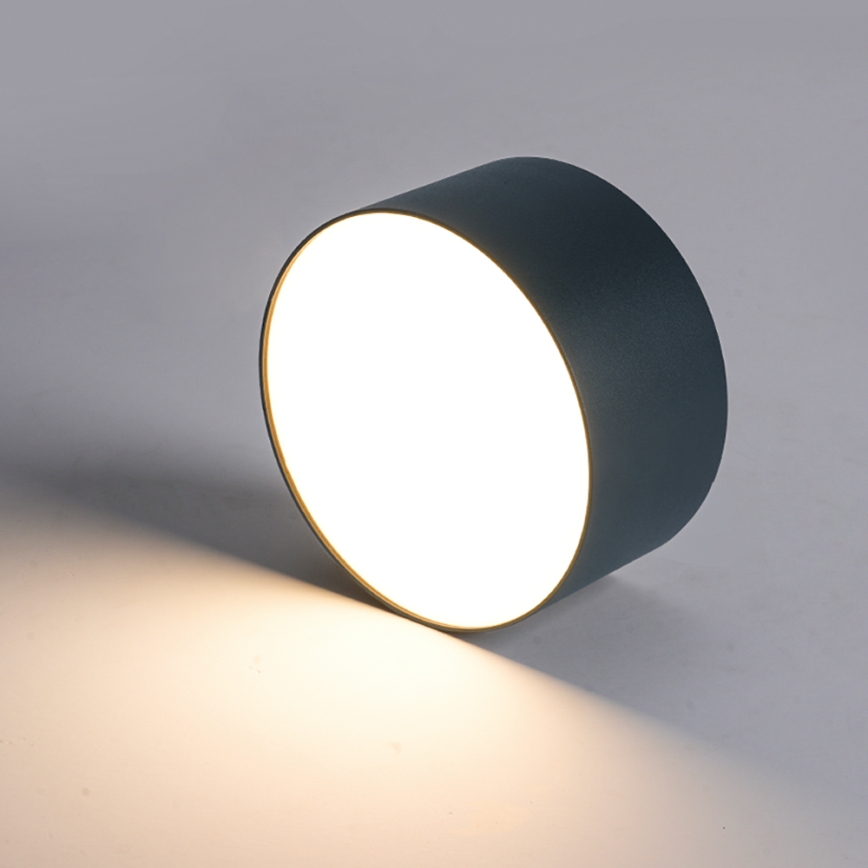 BRILAGI - LED Välislae valgusti FORIS LED/20W/230V läbimõõt 15 cm antratsiit IP44