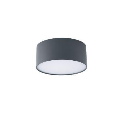 BRILAGI - LED Välislae valgusti FORIS LED/20W/230V läbimõõt 15 cm antratsiit IP44
