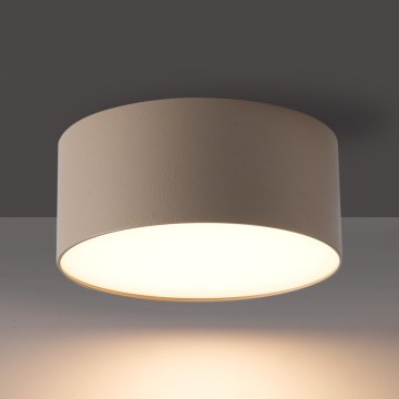 BRILAGI - LED Välitingimustele mõeldud laevalgusti FORIS LED/20W/230V Ø 15 cm beež IP44