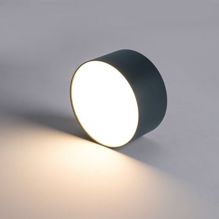 BRILAGI - LED välislaevalgusti FORIS LED/9W/230V Ø 9 cm antratsiit IP44