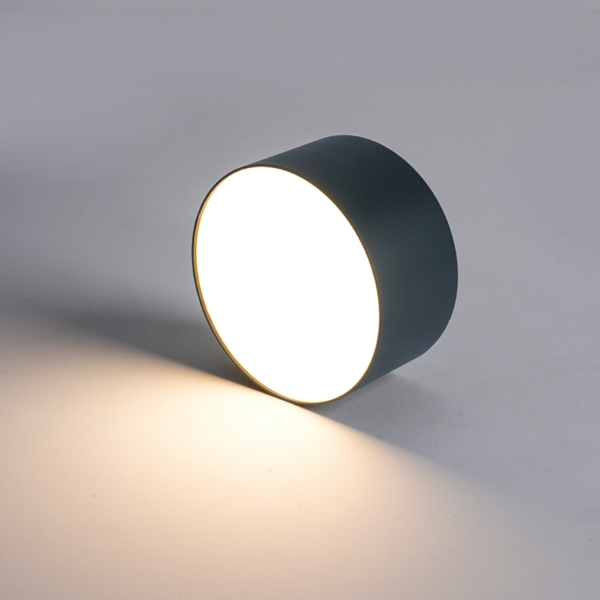 BRILAGI - LED välislaevalgusti FORIS LED/9W/230V Ø 9 cm antratsiit IP44
