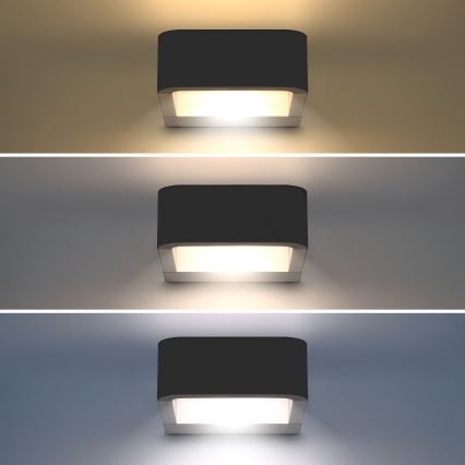 Brilagi - LED Väli seinavalgusti BARI LED/7W/230V 3000/4000/6000K antratsiit IP54
