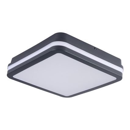 Brilagi - LED Välivalgusti BENE LED/24W/230V 26x26 cm IP54
