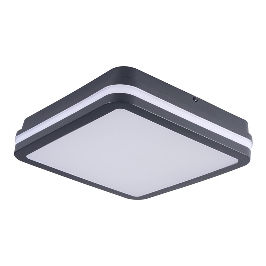 Brilagi - LED Välivalgusti BENE LED/24W/230V 26x26 cm IP54