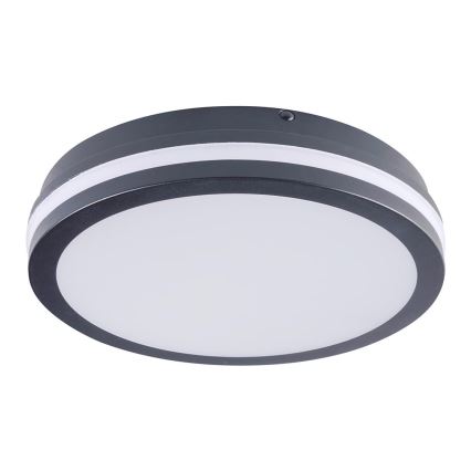 Brilagi - LED Välivalgusti BENE LED/24W/230V d. 26 cm IP54
