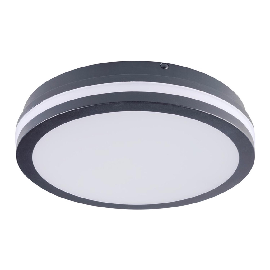 Brilagi - LED Välivalgusti BENE LED/24W/230V d. 26 cm IP54