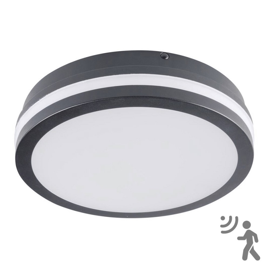 Brilagi - LED Välivalgusti koos anduriga BENE LED/18W/230V d. 22 cm IP54