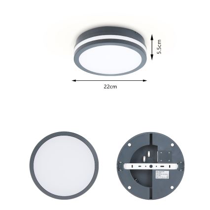 Brilagi - LED Välivalgusti koos anduriga BENE LED/18W/230V d. 22 cm IP54