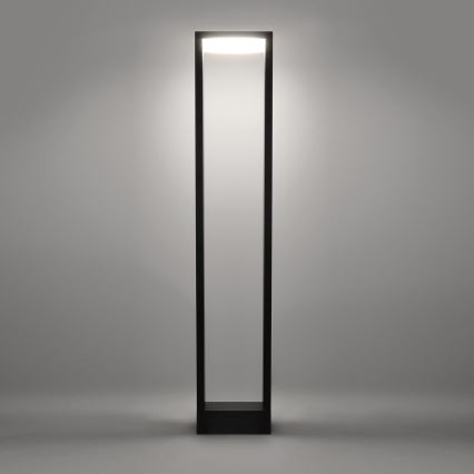 Brilagi - LED Välivalgusti RAGUSA LED/7W/230V 3000/4000/6000K antratsiit IP54 80 cm