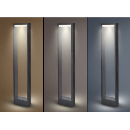 Brilagi - LED Välivalgusti RAGUSA LED/7W/230V 3000/4000/6000K antratsiit IP54 80 cm