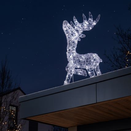 BRILAGI - LED Väljas jõulukaunistus LED/3,3W/230V IP44 60x37 cm põhjapõder