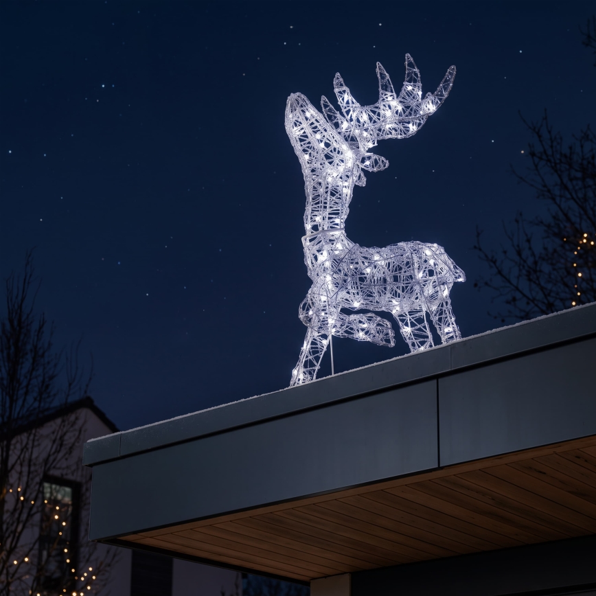 BRILAGI - LED Väljas jõulukaunistus LED/3,3W/230V IP44 60x37 cm põhjapõder