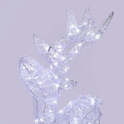 BRILAGI - LED Väljas jõulukaunistus LED/3,3W/230V IP44 60x37 cm põhjapõder
