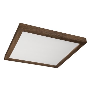 Brilagi - LED Vannalauge WOODY FRAME LED/40W/230V 60x60 cm IP44 pähkel