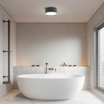 Brilagi - LED-vannitoa laelamp FORIS LED/20W/230V, läbimõõt 15 cm, antratsiit, IP44