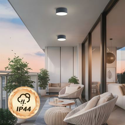 Brilagi - LED-vannitoa laelamp FORIS LED/20W/230V, läbimõõt 15 cm, antratsiit, IP44