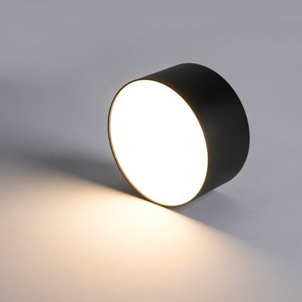 Brilagi - LED vannitoa laelamp FORIS LED/20W/230V läbimõõt 15 cm must IP44