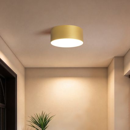 BRILAGI - LED vannitoa laevalgusti FORIS LED/20W/230V läbimõõt 15 cm kuldne IP44