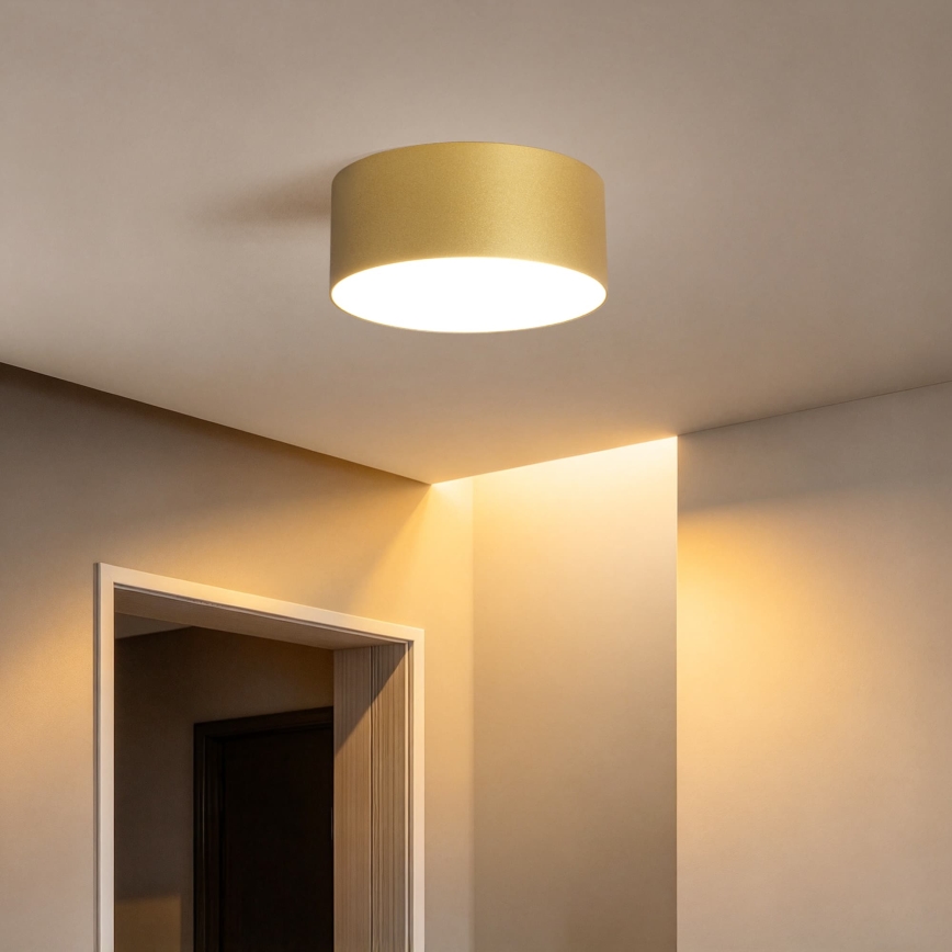 BRILAGI - LED vannitoa laevalgusti FORIS LED/20W/230V läbimõõt 15 cm kuldne IP44