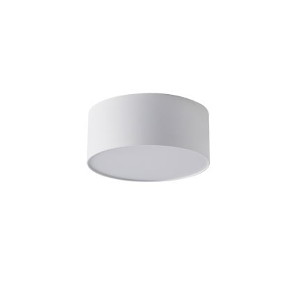 Brilagi - LED vannitoa laelamp FORIS LED/20W/230V Ø 15 cm valge IP44