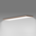 Brilagi - LED vannitoa laelamp FRAME LED/50W/230V 120x30 cm IP44 beež