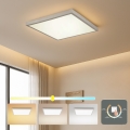Brilagi - LED vannitoa laelamp FRAME LED/50W/230V 3000/4000/6000K 60x60 cm IP44 hõbedane