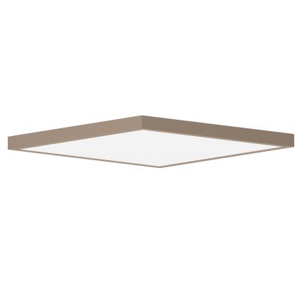 Brilagi - LED vannitoa laevalgusti FRAME LED/50W/230V 60x60 cm IP44 beež