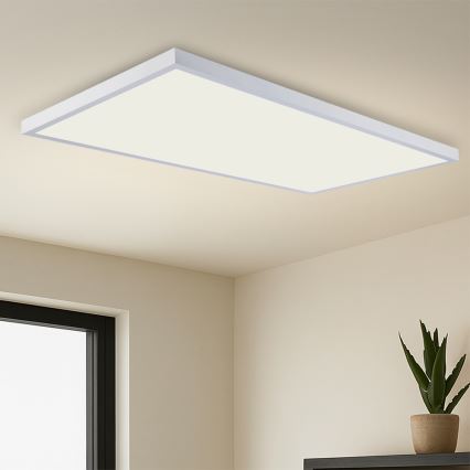 Brilagi - FRAME LED vannitoa laevalgusti LED/96W/230V 120x60 cm 3000/4000/6000K IP44 valge