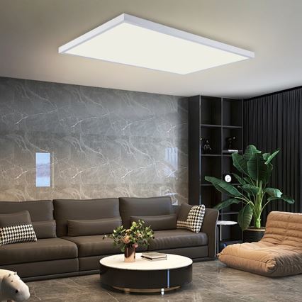 Brilagi - FRAME LED vannitoa laevalgusti LED/96W/230V 120x60 cm 3000/4000/6000K IP44 valge