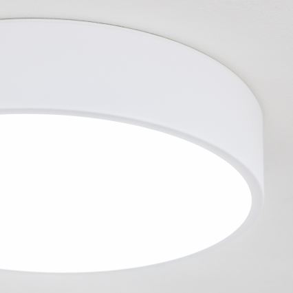 Brilagi - LED vannitoa laelamp POOL LED/24W/230V 3000/4000/5500K Ø 30 cm IP54 valge