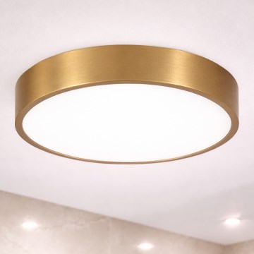 Brilagi - LED-vannitoa laelamp POOL LED/36W/230V 3000/4000/5500K läbimõõt 40 cm IP54 pronks