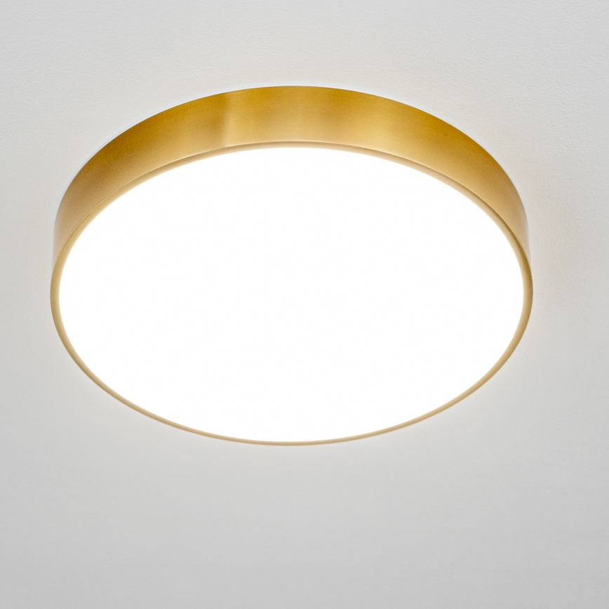Brilagi - LED-vannitoa laelamp POOL LED/36W/230V 3000/4000/5500K läbimõõt 40 cm IP54 pronks