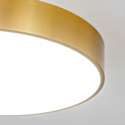 Brilagi - LED-vannitoa laelamp POOL LED/36W/230V 3000/4000/5500K läbimõõt 40 cm IP54 pronks