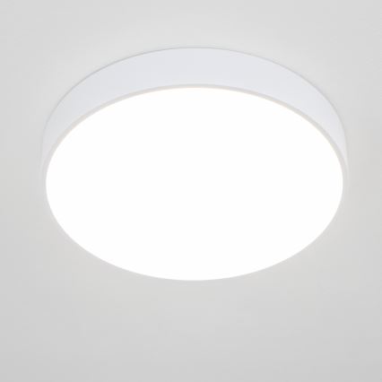 BRILAGI - LED vannitoa laelamp POOL LED/36W/230V 3000/4000/5500K läbimõõt 40 cm IP54 valge