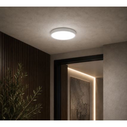 BRILAGI - LED vannitoa laelamp ZENNA LED/12W/230V läbimõõt 25 cm IP44 valge