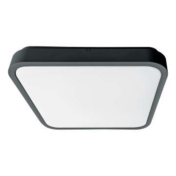 Brilagi - LED vannitoa laelamp ZENNA LED/18W/230V 28,5x28,5 cm IP44 antratsiit