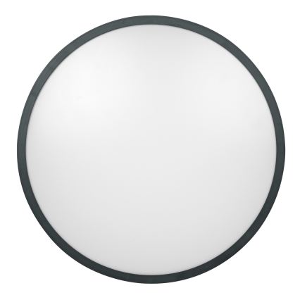 Brilagi - LED-vannitoa laelamp ZENNA LED/18W/230V, läbimõõt 29,5 cm, IP44, antratsiit