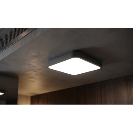 BRILAGI - LED vannitoa laelamp anduriga ZENNA LED/24W/230V 34,5x34,5 cm IP44 antratsiit + kaugjuhtimispult