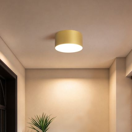 BRILAGI - LED vannitoa laevalgusti FORIS LED/14W/230V Ø 12 cm kuldne IP44
