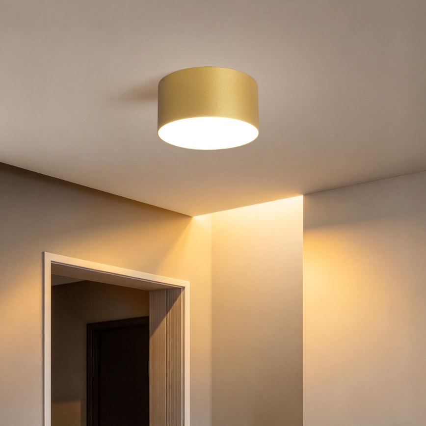 BRILAGI - LED vannitoa laevalgusti FORIS LED/14W/230V Ø 12 cm kuldne IP44