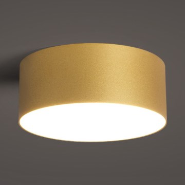 BRILAGI - LED vannitoa laevalgusti FORIS LED/20W/230V läbimõõt 15 cm kuldne IP44