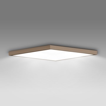 Brilagi - LED vannitoa laevalgusti FRAME LED/50W/230V 60x60 cm IP44 beež