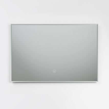 Brilagi - LED-vannitoa peegel DESIO LED/20W/230V 40x60 cm hõbedane IP44 CRI 90 hämardatav + CCT