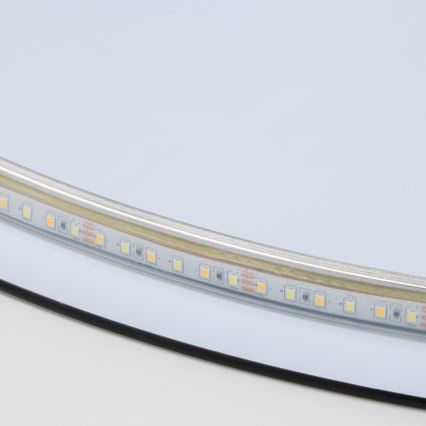 Brilagi - LED-vannitoa peegel LUNA LED/26W/230V ø 80 cm IP44 CRI 90 hämardatav + CCT