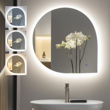 Brilagi - LED-vannitoa peegel RICADI LED/19W/230V 60x60 cm IP44 CRI 90 hämardatav + CCT
