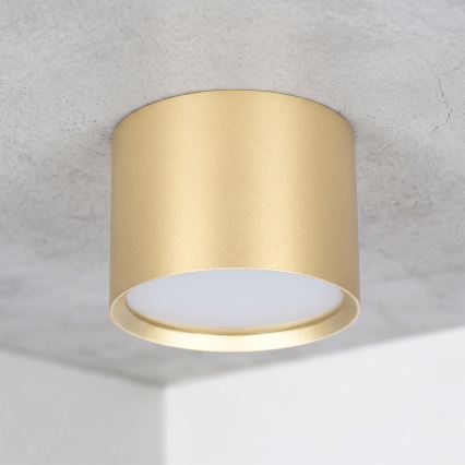 BRILAGI - LED Vannitoa suunavalgusti SMOOTH 1xGX53/15W/230V 60x82 mm kuldne IP54