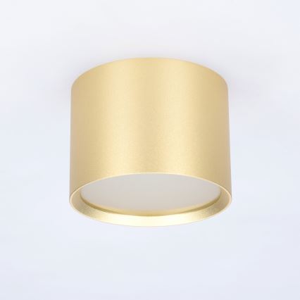 BRILAGI - LED Vannitoa suunavalgusti SMOOTH 1xGX53/15W/230V 60x82 mm kuldne IP54